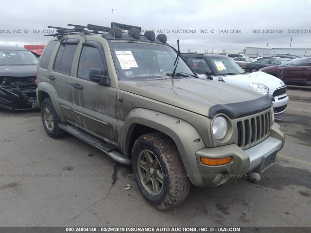 1J4GL38K82W309285 - 2002 JEEP LIBERTY RENEGADE GREEN photo 1