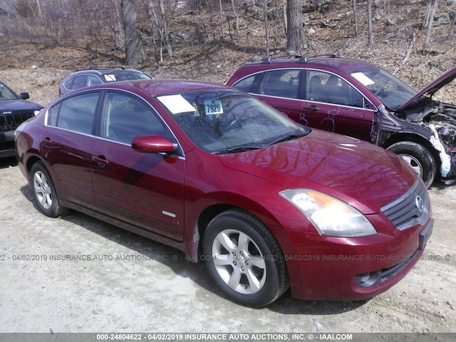 1N4CL21EX7C159407 - 2007 NISSAN ALTIMA HYBRID RED photo 1