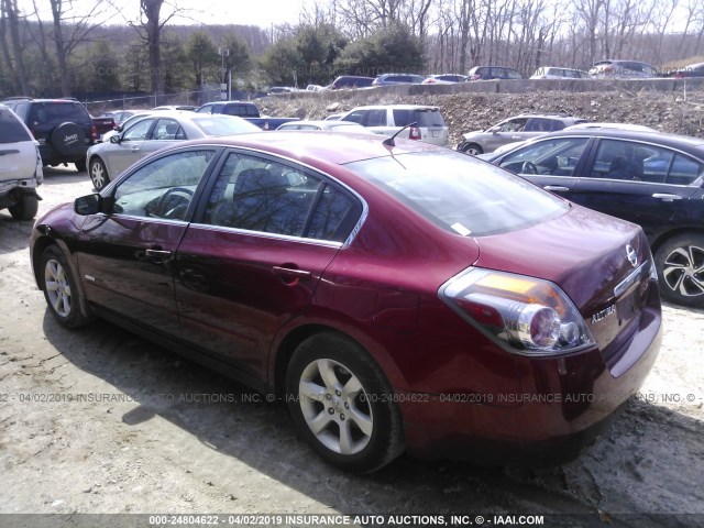 1N4CL21EX7C159407 - 2007 NISSAN ALTIMA HYBRID RED photo 3