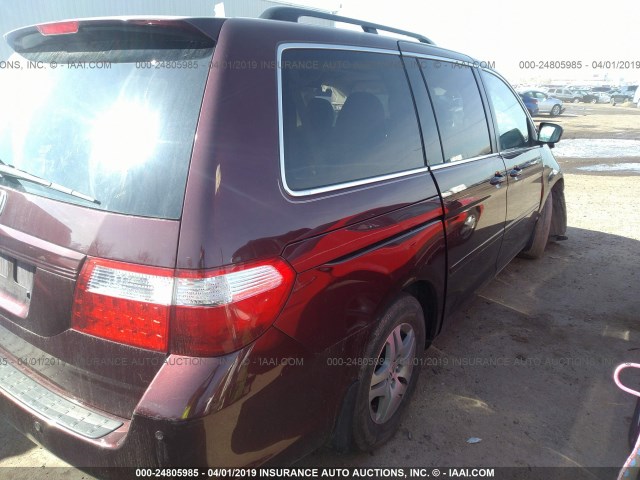 5FNRL38627B410674 - 2007 HONDA ODYSSEY EXL RED photo 4