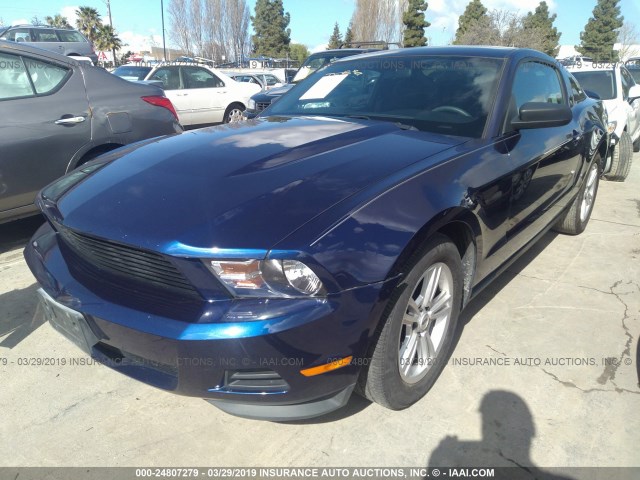 1ZVBP8AM5C5275677 - 2012 FORD MUSTANG BLUE photo 2