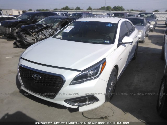 KMHE34L17HA051201 - 2017 HYUNDAI SONATA HYBRID/LIMITED WHITE photo 2