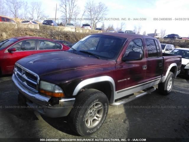 1B7GG2AN31S200229 - 2001 DODGE DAKOTA QUAD MAROON photo 2