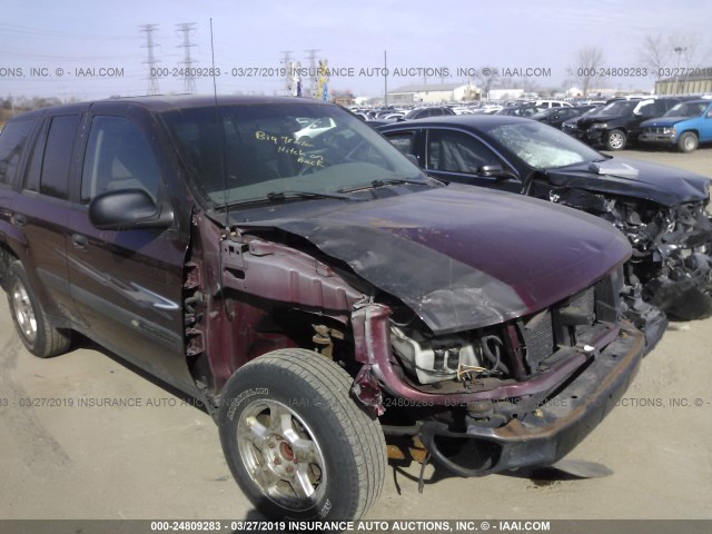 1GNDS13SX42309104 - 2004 CHEVROLET TRAILBLAZER LS/LT BURGUNDY photo 6