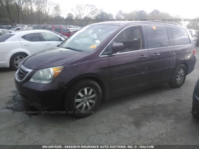 5FNRL3H74AB044300 - 2010 HONDA ODYSSEY EXL BURGUNDY photo 2