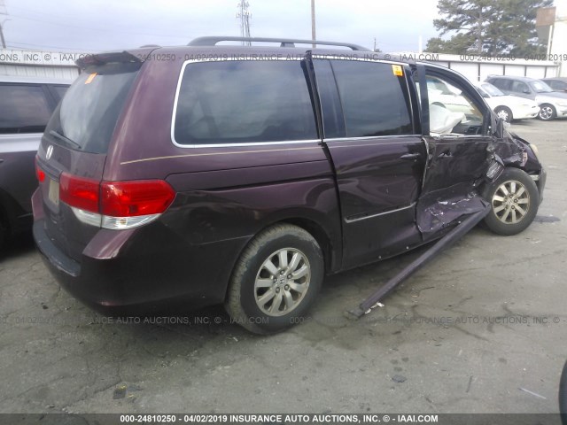 5FNRL3H74AB044300 - 2010 HONDA ODYSSEY EXL BURGUNDY photo 4