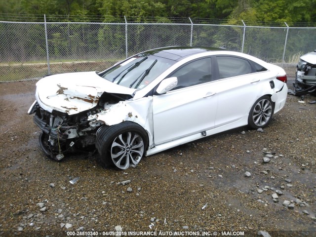 5NPEC4AB8EH831714 - 2014 HYUNDAI SONATA SE/LIMITED WHITE photo 2