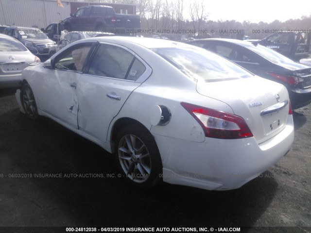 1N4AA5AP0AC835421 - 2010 NISSAN MAXIMA S/SV WHITE photo 3