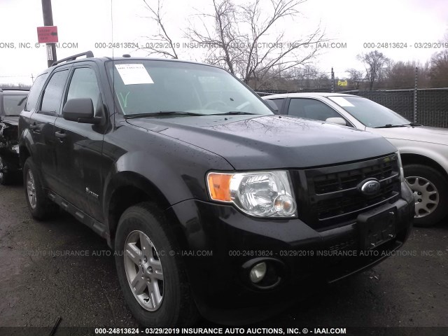 1FMCU59389KA38522 - 2009 FORD ESCAPE HYBRID BLACK photo 1