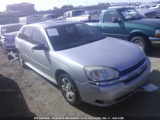 1G1ZU64844F184045 - 2004 CHEVROLET MALIBU MAXX LT SILVER photo 1