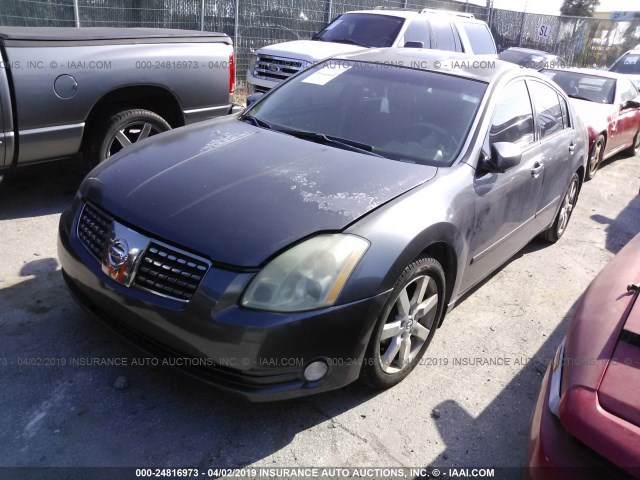 1N4BA41E06C811186 - 2006 NISSAN MAXIMA SE/SL GRAY photo 2