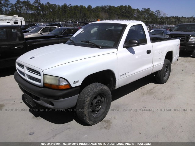 1B7GG26X5WS622651 - 1998 DODGE DAKOTA WHITE photo 2