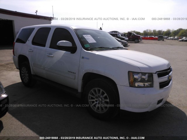 1GNUKDDJ0AR264667 - 2010 CHEVROLET TAHOE HYBRID WHITE photo 1