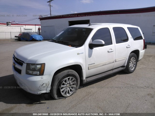 1GNUKDDJ0AR264667 - 2010 CHEVROLET TAHOE HYBRID WHITE photo 2