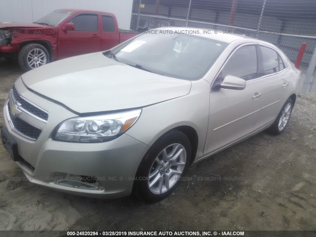 1G11C5SA3DF224079 - 2013 CHEVROLET MALIBU 1LT CREAM photo 2