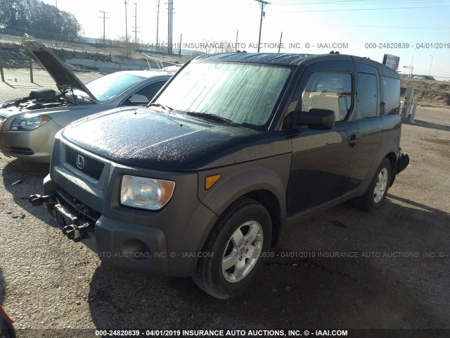 5J6YH28583L010215 - 2003 HONDA ELEMENT EX BLACK photo 2