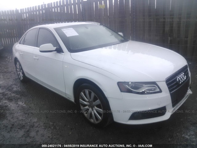 WAUEFAFL6AN008746 - 2010 AUDI A4 PREMIUM PLUS WHITE photo 1