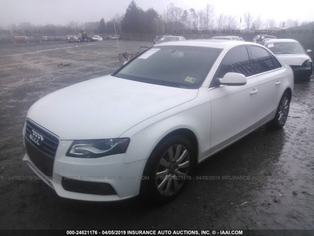 WAUEFAFL6AN008746 - 2010 AUDI A4 PREMIUM PLUS WHITE photo 2