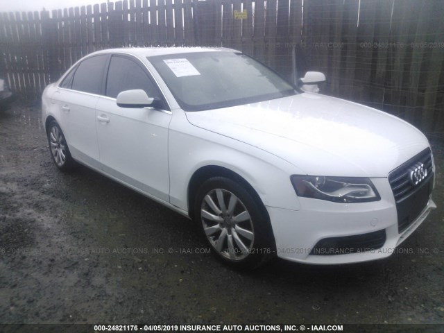 WAUEFAFL6AN008746 - 2010 AUDI A4 PREMIUM PLUS WHITE photo 6