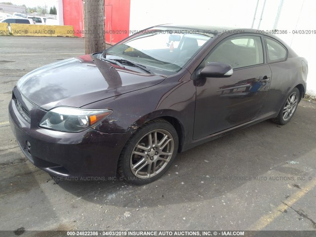 JTKDE167780228207 - 2008 TOYOTA SCION TC PURPLE photo 2