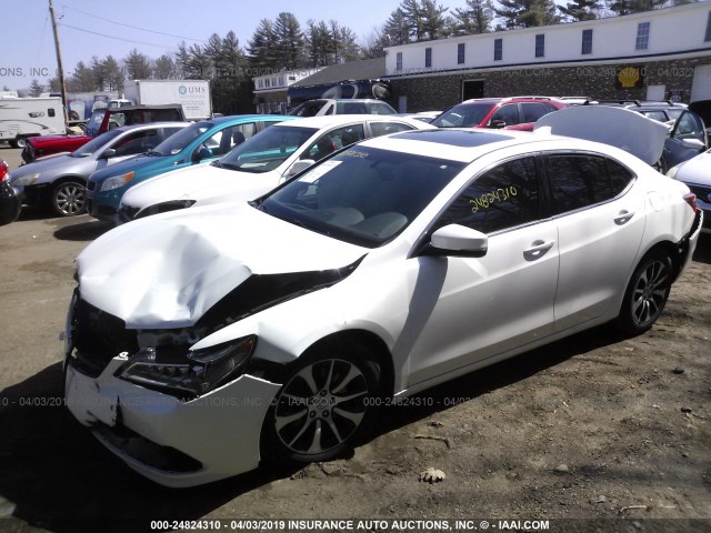 19UUB1F37FA006563 - 2015 ACURA TLX WHITE photo 2