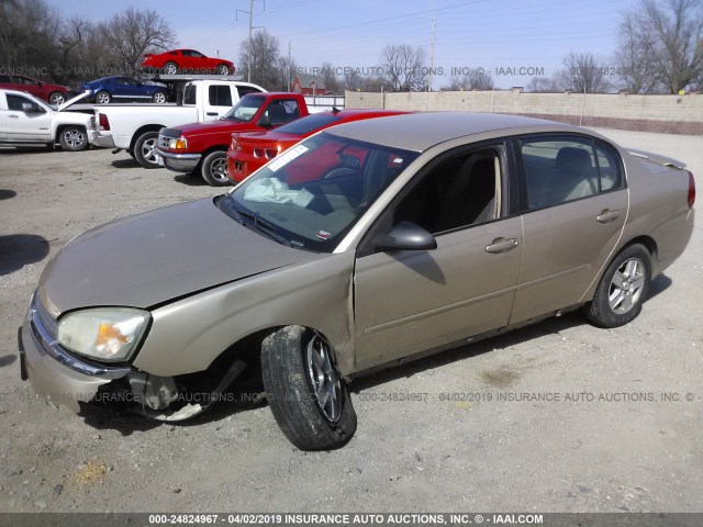 1G1ZT54885F165948 - 2005 CHEVROLET MALIBU LS TAN photo 2