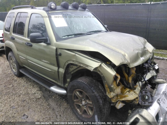 1J4GK38KX2W314491 - 2002 JEEP LIBERTY RENEGADE GREEN photo 1