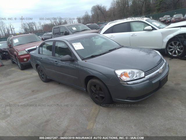 1G1ZT52855F176361 - 2005 CHEVROLET MALIBU LS GRAY photo 1