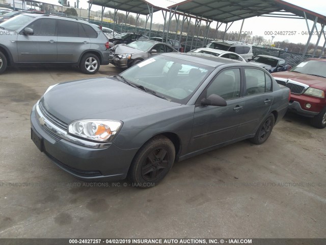 1G1ZT52855F176361 - 2005 CHEVROLET MALIBU LS GRAY photo 2