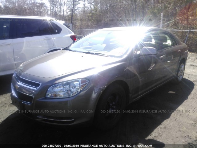 1G1ZC5EB6AF165208 - 2010 CHEVROLET MALIBU 1LT 金色 照片 2