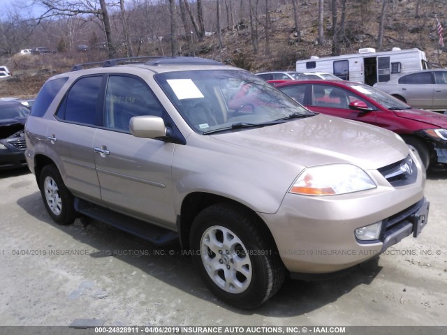 2HNYD18872H523046 - 2002 ACURA MDX TOURING GOLD photo 1