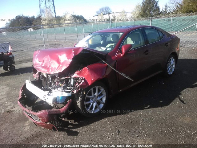 JTHCF5C20C5054104 - 2012 LEXUS IS 250 RED photo 2