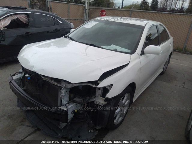 4T1BK46K89U591330 - 2009 TOYOTA CAMRY SE/LE/XLE WHITE photo 2