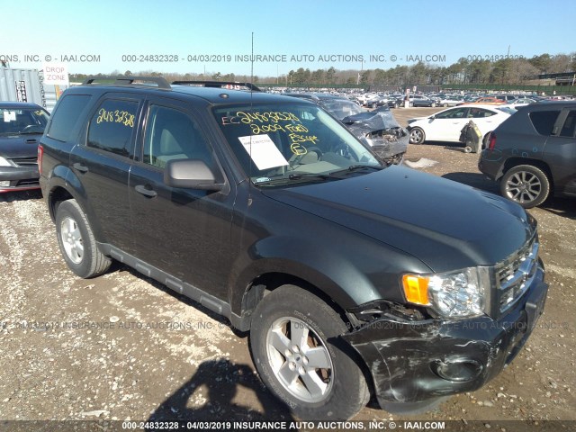 1FMCU93719KD04434 - 2009 FORD ESCAPE XLT GRAY photo 1