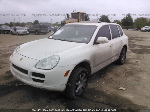 WP1AB29PX6LA61291 - 2006 PORSCHE CAYENNE S WHITE photo 2