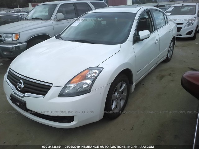 1N4CL21E87C236131 - 2007 NISSAN ALTIMA HYBRID WHITE photo 2