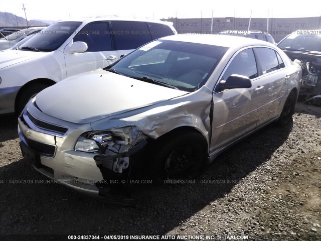 1G1ZB5EBXAF139620 - 2010 CHEVROLET MALIBU LS BEIGE photo 2