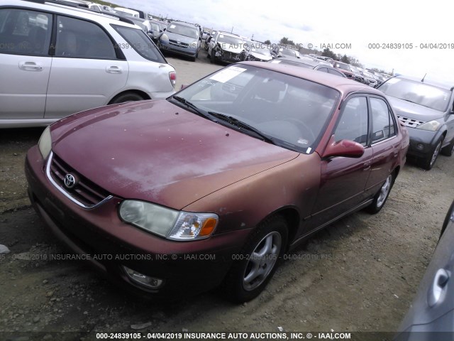 1NXBR12E01Z514224 - 2001 TOYOTA COROLLA CE/LE/S BURGUNDY photo 2