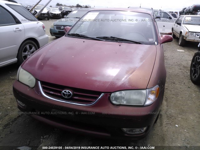 1NXBR12E01Z514224 - 2001 TOYOTA COROLLA CE/LE/S BURGUNDY photo 6