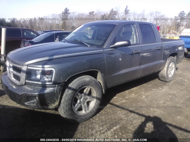 1D7HW38K88S592780 - 2008 DODGE DAKOTA SXT GRAY photo 2