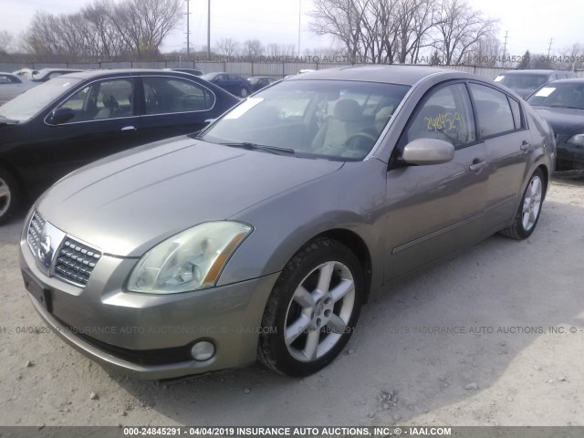 1N4BA41E25C827923 - 2005 NISSAN MAXIMA SE/SL GOLD photo 2