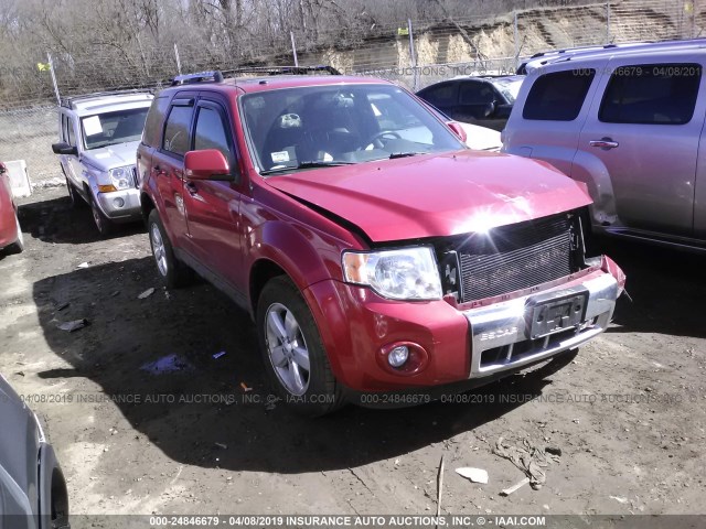 1FMCU0EG4BKA91283 - 2011 FORD ESCAPE LIMITED RED photo 1