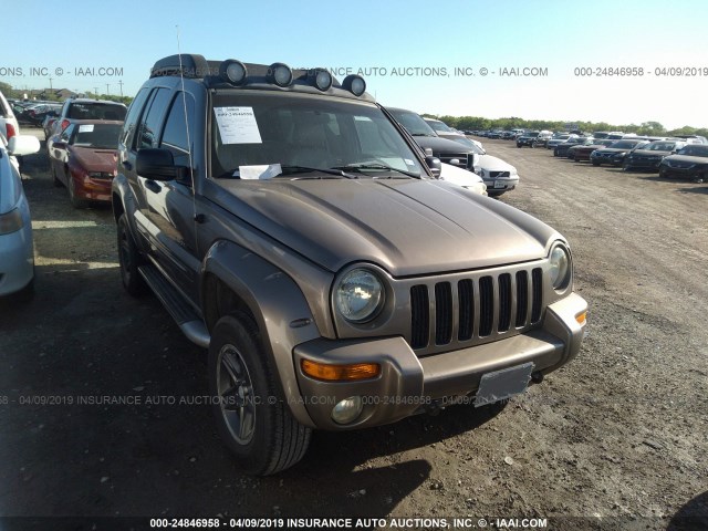 1J4GL38K53W628242 - 2003 JEEP LIBERTY RENEGADE TAN photo 1