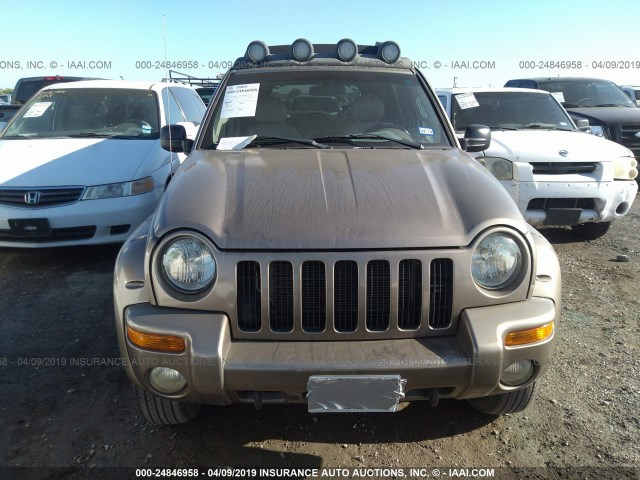 1J4GL38K53W628242 - 2003 JEEP LIBERTY RENEGADE TAN photo 6
