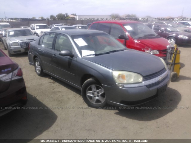 1G1ZT52855F262785 - 2005 CHEVROLET MALIBU LS GRAY photo 1