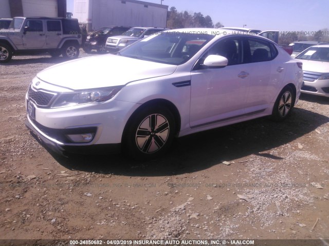 KNAGM4AD0C5036478 - 2012 KIA OPTIMA HYBRID WHITE photo 2