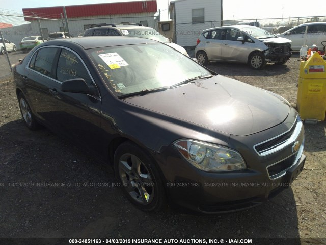 1G1ZA5E03AF281812 - 2010 CHEVROLET MALIBU LS GRAY photo 1