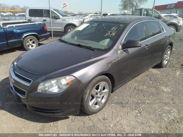 1G1ZA5E03AF281812 - 2010 CHEVROLET MALIBU LS GRAY photo 2