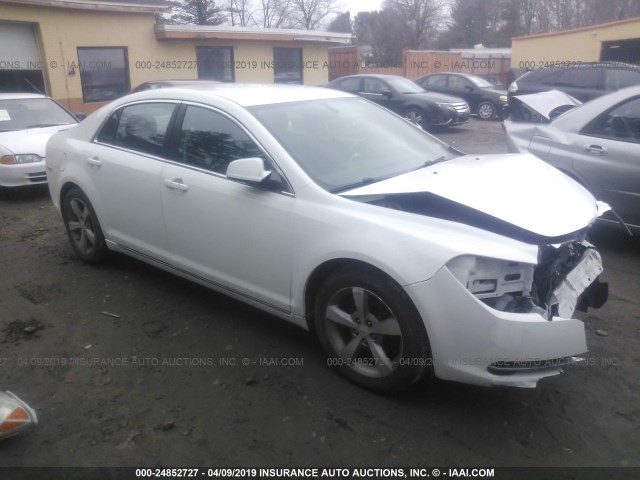 1G1ZC5E10BF357233 - 2011 CHEVROLET MALIBU 1LT 白色 照片 1