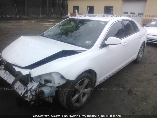1G1ZC5E10BF357233 - 2011 CHEVROLET MALIBU 1LT 白色 照片 2